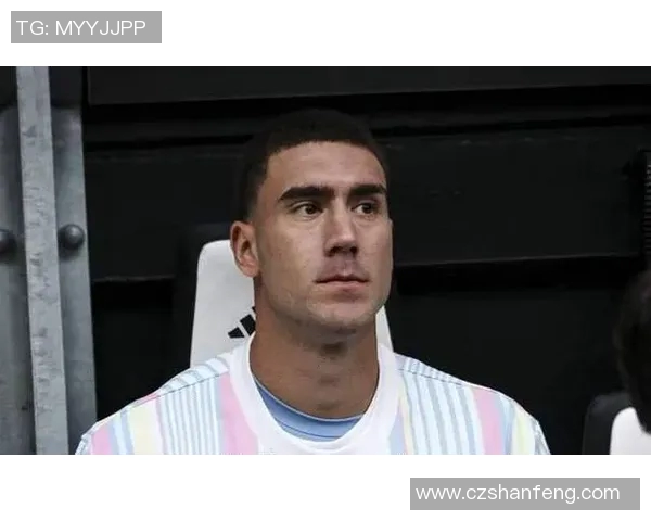 足球明星叫什么维奇来着他在赛场上的表现让人难以忘怀