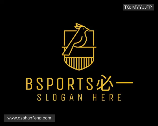 解读必一运动bsports